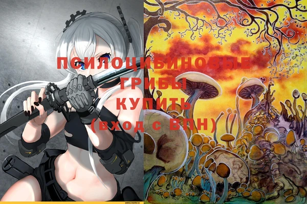 прущая мука Нефтекумск