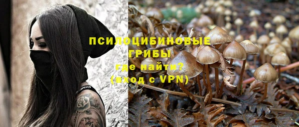 мдпв Нефтегорск